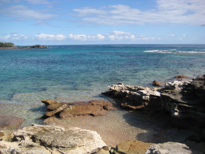 Seascapes